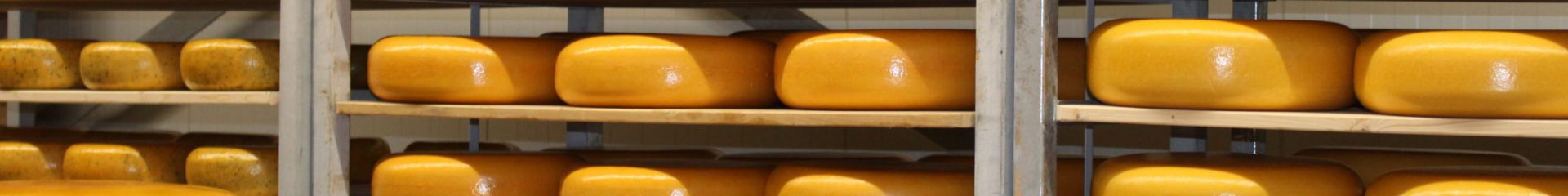 Nieuw: Aspargio kaas van de boerderij met asperges